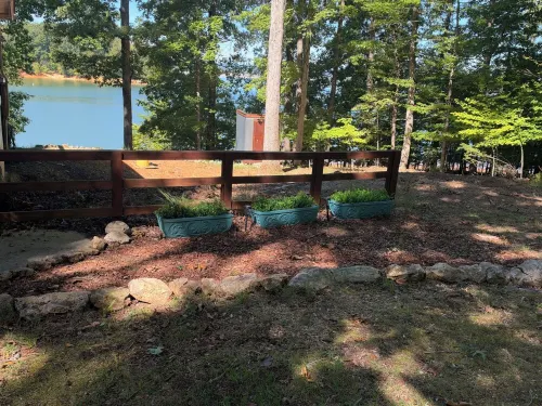 Dog Friendly Lakefront Cabin with Amazing Sunset Views & New Boat Dock. - 4성급