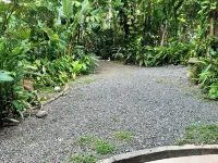 Private Jungle Loft in Playa Cocles - Apartments