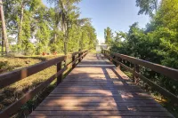 Waterfront Nature Escape on Altamaha River - Wifi