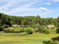 Clairière Aux Chevreuils