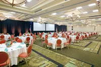 Hilton Naples Hotel a Naples