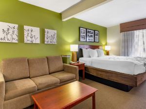 Sleep Inn & Suites Stockbridge Atlanta South