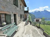 Rustico Olmo