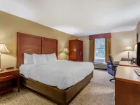 Comfort Inn Foxboro - Mansfield Hoteles en Foxborough