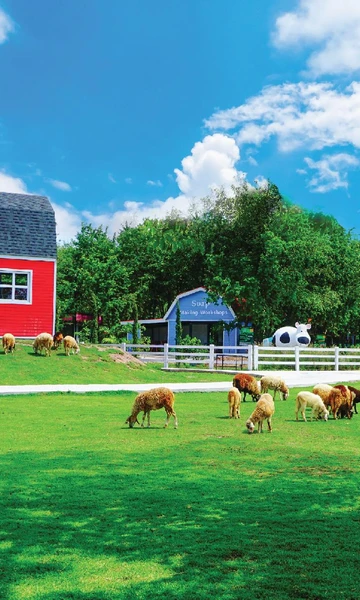 รูปภาพของฟาวน์เท่นทรี Fountain Tree Resort