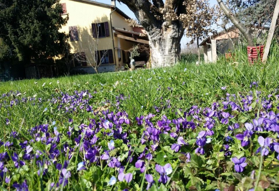 B&B L'Albero Cavo - Valutazioni di hotel 3 stelle a Parma