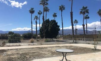 Palm Shadow Inn Motel - Housity