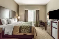 Comfort Inn & Suites Snyder Hotels in Snyder