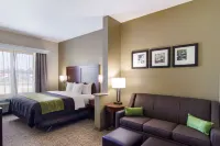 Comfort Inn Blackshear Hwy 84 Hotels near Okefenokee Swamp Park