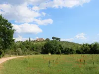 Cellina - Baia Degli Ulivi