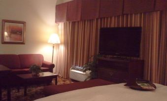 Hampton Inn & Suites Del Rio