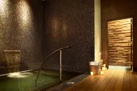 Viceroy Snowmass - Hot Tub