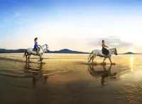 Loreto Bay Golf & Sea at Baja - Ocean View