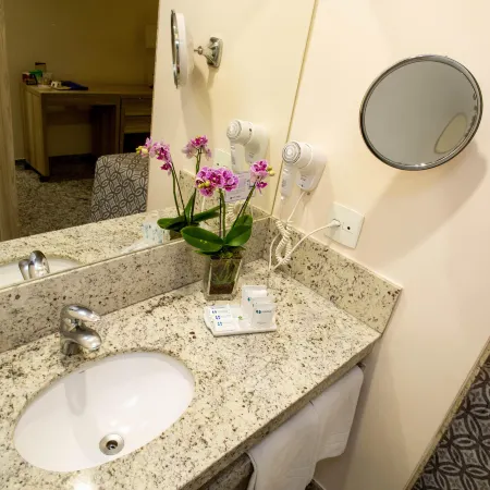 Hotel Dan Inn Campinas Anhanguera - By Nacional Inn