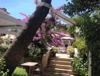 Ascot Hotel Büyükada Отели в г. Принцевы острова