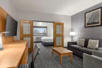 Wingate by Wyndham Lethbridge Hotel di Lethbridge