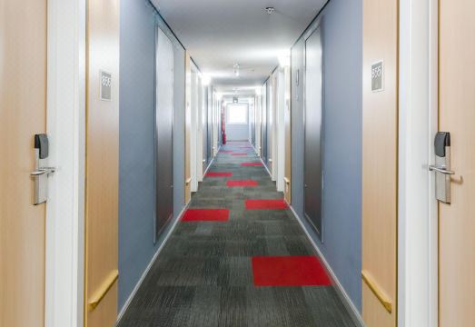 이비스 마릴리아