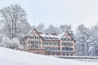 Boutique-Hotel Zurichberg Hotels in Dübendorf