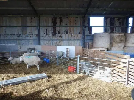 Bran Goesgoch Отели рядом с достопримечательностью «Porth Dafarch»