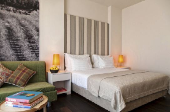 班古里昂機場薩杜特酒店-阿特拉斯精品酒店