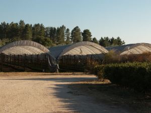 Quinta de SantAna da Varzea