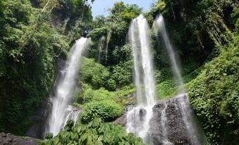 Van Dhika Guest House Bali