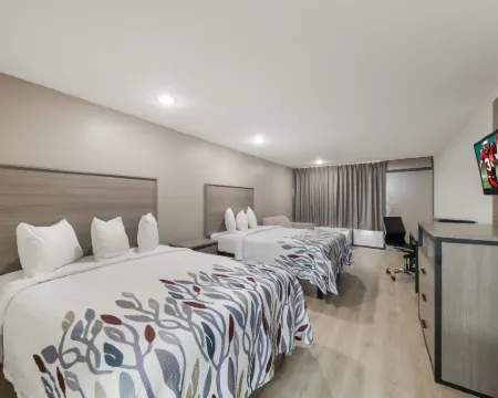 Red Roof Inn & Conference Center McKinney Hotels in McKinney