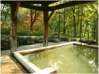 Hotel Tsunogami - Hot Springs