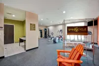 Home2 Suites by Hilton Fort Worth Southwest Cityview - Pet friendly