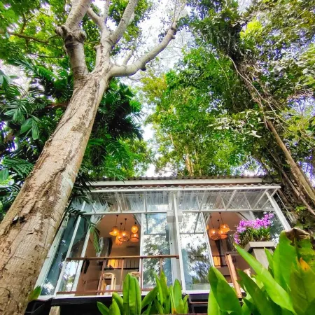 Rain Forest Resort Ξενοδοχεία στην πόλη Wang Thong