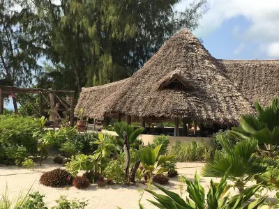Driftwood Beach Lodge Hotels in Jambiani