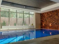 Sova Park-Hotel Hotels in Ryazan