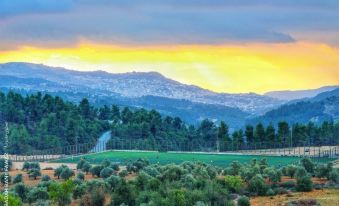 Al-Jabal Castle Hotel - Ajloun