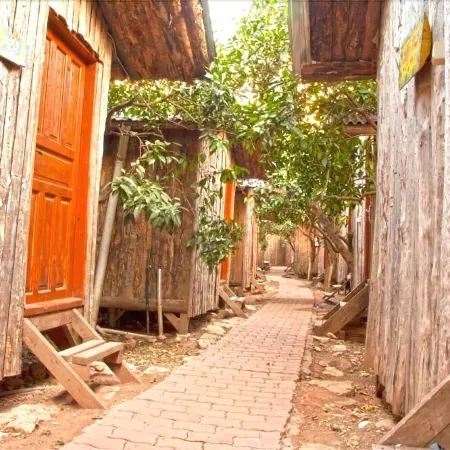 Bayrams Tree Houses