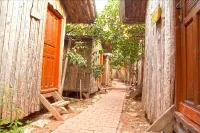 Bayrams Tree Houses