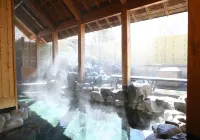 다테시마 도큐 호텔 - 온천