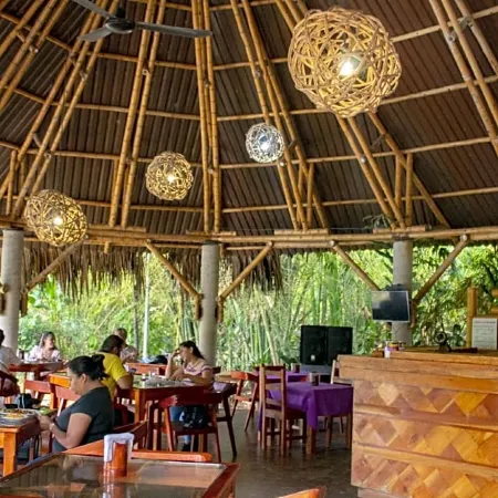 Axkan Palenque, Albercas, Gastronomia Mar y Tierra & Travel Agency