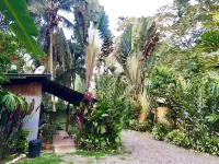 Tasty Dayz Hostel Hotels in 