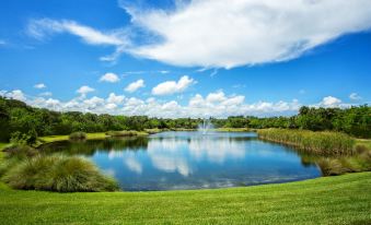 a serene lake surrounded by lush green grass and trees , with a blue sky above at Disney's Vero Beach Resort