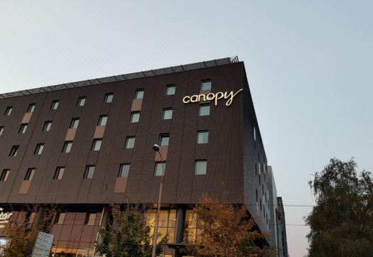 2. 캐노피 바이 힐..