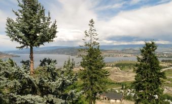 A View of the Lake Bed & Breakfast