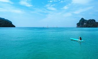 3. Phi Phi ..