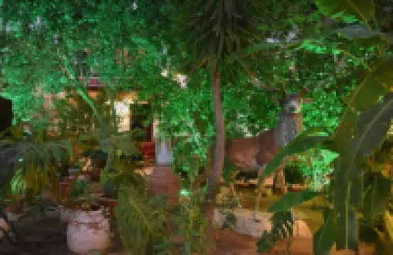 Hotel Istankoy Bodrum