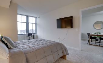 Incredible Apt in Pentagon City