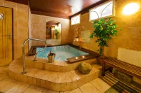 Alpský Hotel Hotels in Špindlerův Mlýn