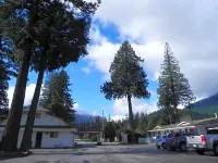 Skagit Motel - Motels