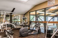 Comfort Inn Pine Grove I-81 Hershey Area - Gym