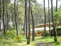 Les Maisons de la foret