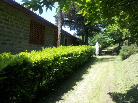 Amazing Stay in Tuscany Rustic Style