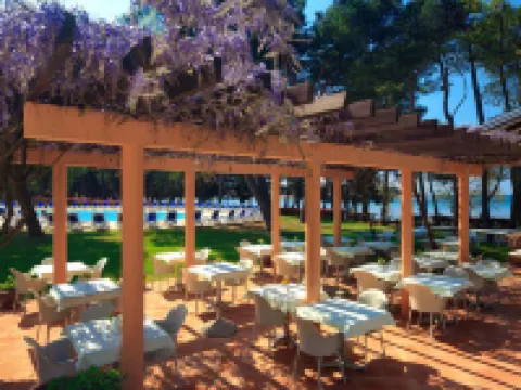 Hotel Aurora Plava Laguna Hotels in Umag